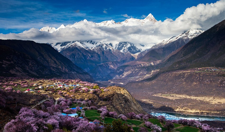 西藏桃花节：直飞林芝+拉萨+日喀则+青藏铁路11日