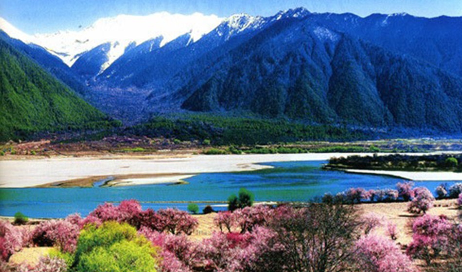 西藏桃花节：直飞林芝+拉萨+日喀则+青藏铁路11日