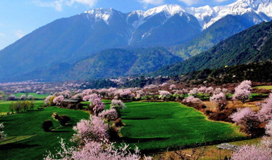 西藏桃花节：直飞林芝+拉萨+日喀则+珠峰+青藏铁路13日