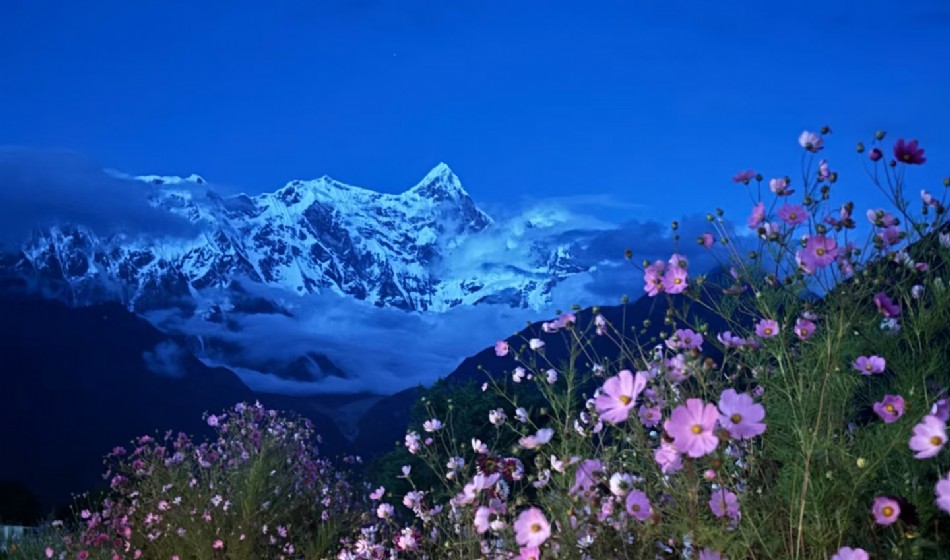 季节限定【林进拉出】西藏雪域桃花7天6晚