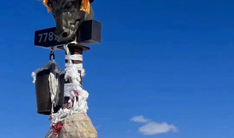 季节限定【林进拉出】西藏雪域桃花7天6晚